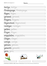 DSS_2S_Bu_ge_Nr_11.pdf